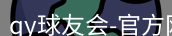 qy球友会